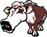 5.gif