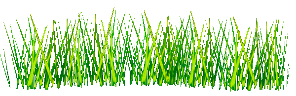 grass_stock_by_luisbc-d68fnb0.gif